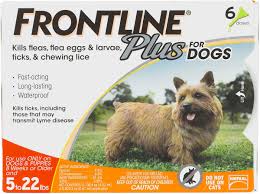 Frontline Plus For Dogs Merial Flea Tick Topicals Flea