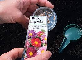 Check spelling or type a new query. Calendrier Des Semis Et Bouturages Des Fleurs Et Arbustes