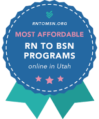 I have read all the horror stories on both this site and facebook, but ventured to youtube to see if i could possibly find some explanation of this course. 2021 Utah Rn Bsn Rankings Best Cheapest Fastest