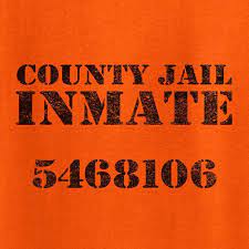 County Jail Inmate Funny Novelty T Shirt Z12479 By Rogueattire 18 99 Inmate Costume Novelty Tshirts Inmate Shirts