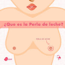 Boutique De Mama La Perla De Leche Es Un Punto Blanco Pequeno Brillante Y Nacarado Que Aparece En El Pezon De La Madre Lo Normal Es Que Este Se Infla Y