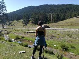 Maybe you would like to learn more about one of these? Kunduz Yaylasi Samsun Vezirkopru Dogadaki Yabanci