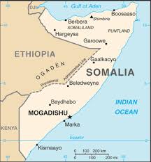 Map of somalia, satellite view. Coastline Of Somalia Wikipedia