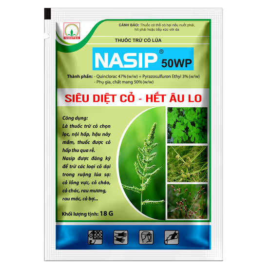 Nasip 50WP