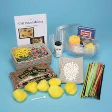Maybe you would like to learn more about one of these? Cell Model Making Kit Carolina Com