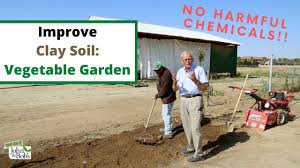 Check spelling or type a new query. How To Amend Clay Soil For Vegetable Garden No Harmful Chemicals Youtube