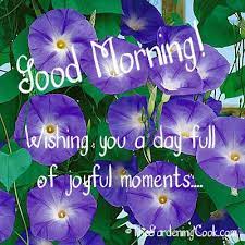 Inspirational Flower Quotes Motivational Sayings With Photos Of Flowers Flower Quotes Flower Photos Flower Quotes Inspirational