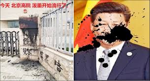 Image result for 習近平遭潑墨