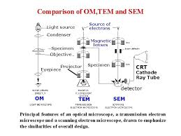 Grid controls the amount of electrons falling on the fluorescent screen of a cathode ray tube. Scanning Electron Microscopy Sem Sem A Focused Electron