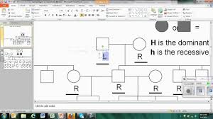 40 No Problem How To Draw Pedigree