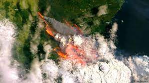 El cadáver de un koala calcinado por el fuego en kangaroo island, australia. Los Incendios De Australia Causaron Un Impacto Atmosferico Similar Al De Un Volcan Ciencia Y Ecologia Dw 19 03 2021