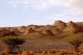 Image result for Desert Tan 1977 Hussmann