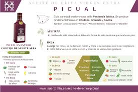 Huile D Olive Picual
