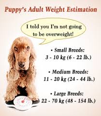 how to estimate a puppys adult weight