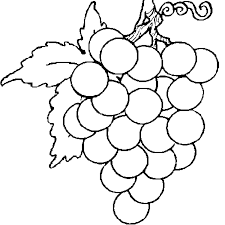 Voir plus d'idées sur le thème dessin a colorier, colorier, dessin. Coloriage Grappe De Raisin En Ligne Gratuit A Imprimer Grappe De Raisin Raisin Coloriage