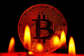 5.53% / 14.94% / 33.80% / 58.91% total. Bitcoin Btc And Other Cryptocurrency Prices Plunge After Oil Drop
