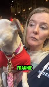 Is your dog a low key actor to get out of a pinch 😂