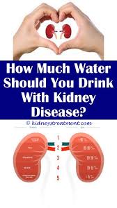 Polycystic Kidney Disease Kidney Disease Stages Kidney Disease Polycystic Kidney Disease