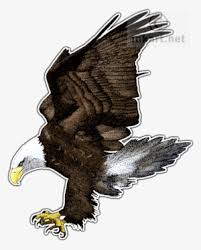 We did not find results for: American Eagle Png Transparent American Eagle Png Image Free Download Pngkey