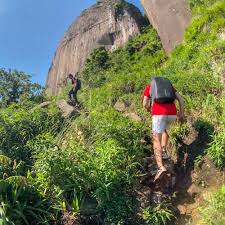 Discover and book most rewarding view in rio: Hiking In Rio Pedra Da Gavea Trail Rio Mountain Sports