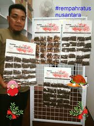 Malah, ada juga dalam kalangan masyarakat di malaysia yang menggunakan buah pala ini dalam proses penghasilan pencuci mulut atau manisan. Rempah Ratus Nusantara Posts Facebook