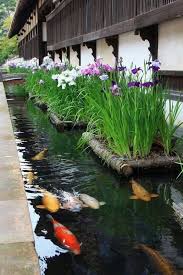 File:japanese friendship garden path koi pond 4.jpg. Asian Rock Garden Fish Pond Gardens Ponds Backyard Pond Landscaping