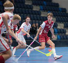Sweden were the first world games g. Florbal Wikipedie
