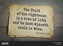 The fruit of the righteous is a tree of life, but violence takes lives. Top 500 Bible Verses Image Photo Free Trial Bigstock