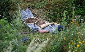 The release of the footage comes days after another mh17 video was released by news corp australia. Photos Ukraine Rebels Move Mh17 Victim S Bodies Tamper With Crash Site Firstpost Victims Body Crash