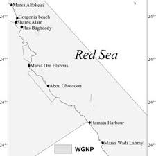 Syarat selanjutnya bagi masyarakat ialah bergaul dengan seseorang dilingkungan sosial, bukan hanya untuk sekali seumur hidup. Map Showing Location Of All 3945 Mangrove Attractions With The Download Scientific Diagram