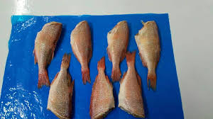 pacific redfish hg red fish fish vegetables