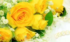 Explore and download tons of high quality flower wallpapers all for free! Free Download Stunning Yellow Roses Natural Beauty Images Hd Wallpapers 3840x2340 For Your Desktop Mobile Tablet Explore 77 Yellow Rose Flower Wallpaper Rose Flowers Wallpapers Free Download Yellow Flowers