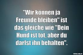 Die Besten 62 Freunde Spruche Auf Istdaslustig De