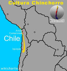 Jun 11, 2021 · una de las atracciones de esta apertura será la exposición temporal chinchorro, trascender a la muerte, que tiene como propósito entregar una mirada profunda y detallada sobre una de las culturas más antiguas que ha poblado nuestro territorio, que habitó las costas desérticas del sur del perú y norte de chile. Cultura Chinchorro Wikicharlie