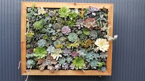 If you make a purchase, my modern met may earn an affiliate commission. Vertical Succulent Wall Planter Marin Homestead