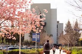 It should be the focus of the church of god at any time in its history, and that is, loving god and loving fellow man. Lawsuit Cal State Fullerton Church Negligent In 2018 Stabbing Oc Weekly