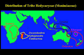 Image result for Xymalos