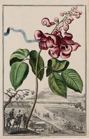 Pin On Illustrations And Art Ii