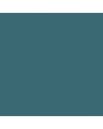 Image result for Marine Aqua 1963 Nova