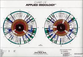 Veracious Iridology Iris Chart 2019