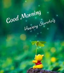 Doesn't that sound nice darling? 10 Good Morning Sunday Greetings For A Beautiful Day Good Morning Happy Sunday Happy Sunday Quotes Good Morning Happy