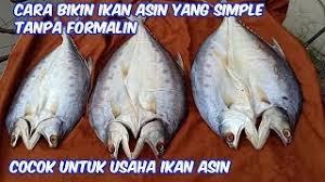 Cara memasak tim ikan hongkong style: Cara Bikin Ikan Asin Tanpa Formalin Youtube