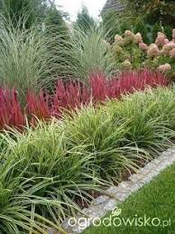 Image Result For Ornamental Grass Border Design Backyard Landscaping Front Yard Landscaping Design Landscape Design