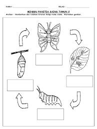 Add to my workbooks (0) download file pdf embed in my website or blog add to google classroom add to microsoft teams share through. Warna Sains2