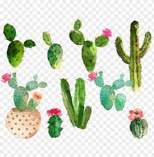 Svg Royalty Free Library Cactaceae Watercolor Painting Cactus With Flowers Watercolor Png Image With Transparent Background Png Free Png Images Cactus Flower Painting Watercolor Cactus Cactus Flower