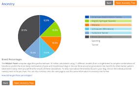 Daisys Dna Results Jennifer Kruse