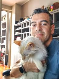 cats #saxofón #music