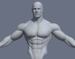 The clavicle, the femur, the fibula, the pelvic girdle, the humerus, the mandible, the pubis, the patella, the radius, the rib cage, the sacrum, the skull, the sternum, the tibia, and the ulna. Male Body Muscles Drawing Reference Novocom Top