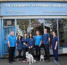 Pets need people to make health decisions for them. All Creatures Veterinary Surgery Lavender Hill London