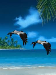 Animated Birds Flying In The Sky Gif Https Encrypted Tbn0 Gstatic Com Images Q Tbn 3aand9gcqskju4c4zjg6dzdyd55wp4q20cytr1xmglgq Usqp Cau